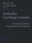 Articular Cartilage Lesions : A Practical Guide to Assessment and Treatment - eBook