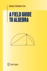 A Field Guide to Algebra - eBook