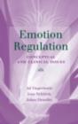 Emotion Regulation : Conceptual and Clinical Issues - eBook