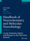 Handbook of Neurochemistry and Molecular Neurobiology : Acute Ischemic Injury and Repair in the Nervous System - eBook