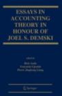 Essays in Accounting Theory in Honour of Joel S. Demski - eBook
