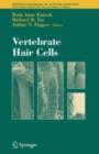 Vertebrate Hair Cells - eBook