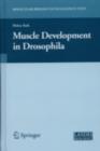 Muscle Development in Drosophilia - eBook