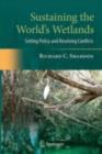 Sustaining the World's Wetlands : Setting Policy and Resolving Conflicts - eBook