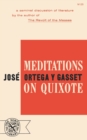 Meditations on Quixote - Book