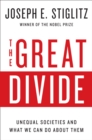 The Great Divide : Unequal Societies and What We Can Do About Them - eBook