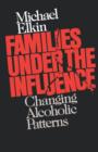 Families Under the Influence : Changing Alcoholic Patterns - Book
