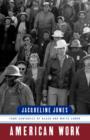 American Work : Four Centuries of Black and White Labor - Book
