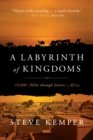 A Labyrinth of Kingdoms : 10,000 Miles through Islamic Africa - Book