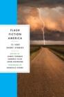 Flash Fiction America : 73 Very Short Stories - eBook