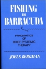 Fishing for Barracuda : Pragmatics of Brief Systemic Theory - Book