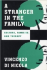 A Stranger in the Family : Culture, Families, and Therapy - Book