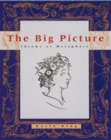 The Big Picture : Idioms as Metaphors - Book