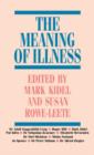 The Meaning of Illness - Book