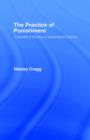 The Practice of Punishment : Towards a Theory of Restorative Justice - Book