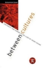 Between Cultures : Continuity and Change in the Lives of Young Asians - Book