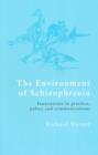 The Environment of Schizophrenia : Innovations in Practice, Policy and Communications - Book