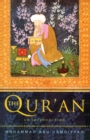 The Qur'an : An Introduction - Book