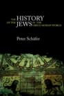 The History of the Jews in the Greco-Roman World : The Jews of Palestine from Alexander the Great to the Arab Conquest - Book