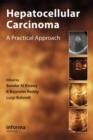 Hepatocellular Carcinoma : A Practical Approach - Book