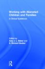 Working With Alienated Children and Families : A Clinical Guidebook - Book