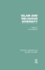 Islam and Religious Diversity - Book