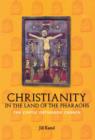Christianity in the Land of the Pharaohs : The Coptic Orthodox Church - Book