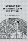Everyday Life In Ancient Egypt - Book
