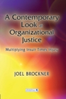 A Contemporary Look at Organizational Justice : Multiplying Insult Times Injury - Book