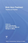 Brain Injury Treatment : Theories and Practices - Book