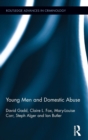 Young Men and Domestic Abuse - Book