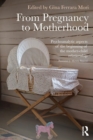 From Pregnancy to Motherhood : Psychoanalytic aspects of the beginning of the mother-child relationship - Book