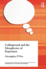 Collingwood and the Metaphysics of Experience - Book