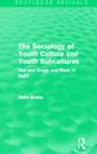 The Sociology of Youth Culture and Youth Subcultures (Routledge Revivals) : Sex and Drugs and Rock 'n' Roll? - Book