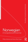 Norwegian: A Comprehensive Grammar - Book