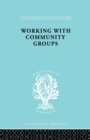 Working Comm Groups    Ils 198 - Book