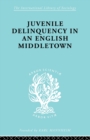 Juvenile Delinquency in an English Middle Town - Book