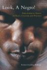 Look, a Negro! : Philosophical Essays on Race, Culture, and Politics - Book