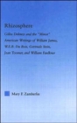 Rhizosphere : Gilles Deleuze and the 'Minor' American Writing of William James, W.E.B. Du Bois, Gertrude Stein, Jean Toomer, and William Falkner - Book