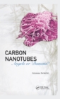 Carbon Nanotubes : Angels or Demons? - eBook