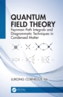 Quantum Field Theory : Feynman Path Integrals and Diagrammatic Techniques in Condensed Matter - eBook
