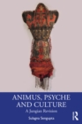 Animus, Psyche and Culture : A Jungian Revision - eBook