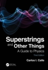 Superstrings and Other Things : A Guide to Physics - eBook