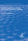 The Macroeconomics of Open Economies Under Labour Mobility - eBook