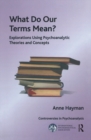 What Do Our Terms Mean? : Explorations Using Psychoanalytic Theories and Concepts - eBook