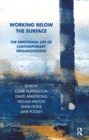 Working Below the Surface : The Emotional Life of Contemporary Organizations - eBook