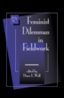 Feminist Dilemmas In Fieldwork - eBook