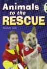 Bug Club Guided Non Fiction Year 2 Gold B Animals to the Rescue - Book