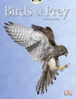 Bug Club Independent Non Fiction Year Two White A Birds of Prey - Book