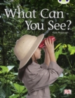 Bug Club Non-fiction Red A (KS1) What Can You See? 6-pack - Book